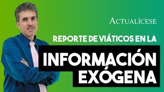 Reporte en la información exógena del pago de viáticos [upl. by Pesek707]