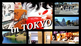 【東京で年末年始】東京で過ごすampあえて混雑場所へ突入すると決断をした１日。 [upl. by Refinnaj250]