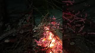 Winter Camping in Bethel Alaska [upl. by Eachern]