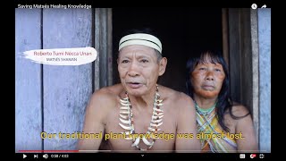 Saving Matsés Healing Knowledge [upl. by Shurwood]