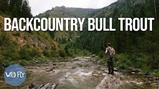 120 HOURS IN BULL TROUT COUNTRY quest to find the elusive bull trout [upl. by Llertnom]