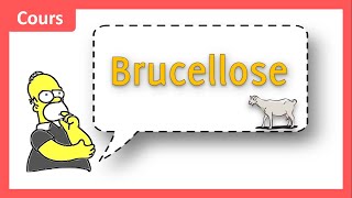 🤔 Quels symptômes devant faire suspecter une Brucellose 🤒❓  Cours  Maladies infectieuses [upl. by Besse]