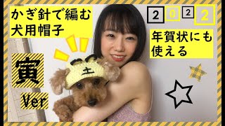 トラの犬用ニット帽 寅年 Ver かぎ針編み [upl. by Abixah]