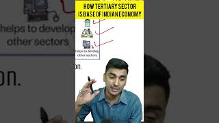 How does the Tertiary Sector play a major role in the Indian Economy shorts cbse [upl. by Neelav]