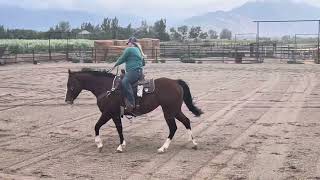 Bobby Socks 3 Year Old Mare [upl. by Tiedeman]