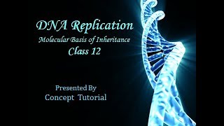 DNA Replication Hindi  Molecular Basis of Inheritance Part 7  Biology Class 12NEET [upl. by Ula511]