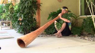 quotCommander Megadronequot Maple Didgeridoo by Chad Butler [upl. by Ayanet]