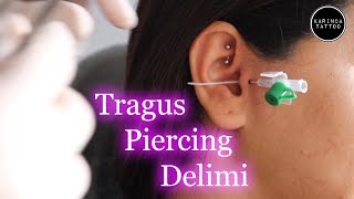 Tragus Piercing Delimi  Karınca Tattoo  How To Make Tragus Piercing [upl. by Welton]