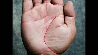 6 Extreme Wealth Lines in Palmistry [upl. by Mcgruter589]