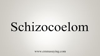 How To Say Schizocoelom [upl. by Chader]