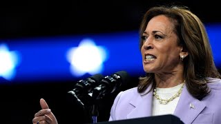 Fresh polling shows ‘honeymoon period’ with Kamala Harris is ‘over’ [upl. by Bithia]