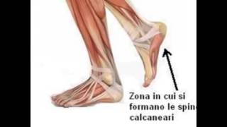 LOsteopatia Biodinamica per lo sperone calcaneare [upl. by Adair]