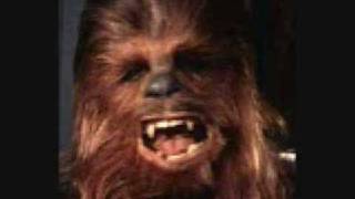 Chewbacca sound byte [upl. by Koressa382]