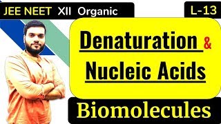 L13 Denaturation  Nucleic Acids  Biomolecules  NEET JEE  By Arvind Arora [upl. by Sairtemed]