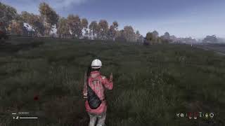 Dayz live stream [upl. by Assenab]