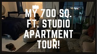 700 SQ Ft Studio Tour  Houston Tx [upl. by Sennahoj]