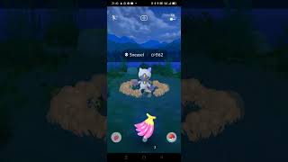 My Twenty Pokémon GO Video Catching Sneasel PokemonGO [upl. by Porcia231]