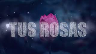 TUS ROSAS PISTA CON LETRAS ANNETTE MORENO  MUSICA CRISTIANA  2022 [upl. by Sivrup]