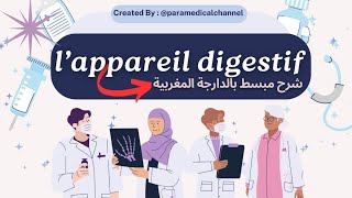 lappareil digestif partie شرح مبسط 1 [upl. by Ikik]