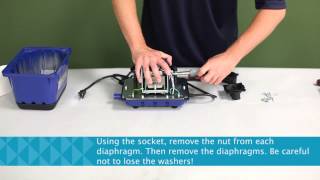 Pentair AES How to replace diaphragms on your Sweetwater air pump [upl. by Lais]