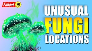 Fallout 76 Find the Unusual Fungi Locations in The Powerhouse of the Cell Quest Guide [upl. by Braynard908]