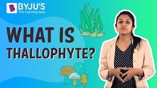 What is Thallophyte [upl. by Siriso]