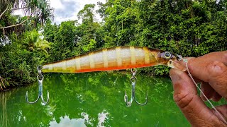 Exploring PNG’s UNTAMED Wilderness  Baia Lodge Day 2 [upl. by Adnahsam]