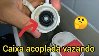 Caixa acoplada vazando 👷 Aula de Como consertar DIY [upl. by Drofla]