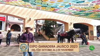 Ganado Limousin desde la Expo Ganadera Jalisco 2023 [upl. by Zakarias]