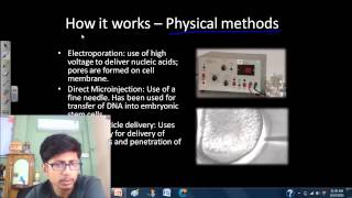 Transfection of mammalian cells [upl. by Suu578]