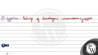 is marked by terminalisation of chiasmata 1 Leptotene 2 Zygotene 3 Diplotene 4 Di [upl. by Ahsimit]