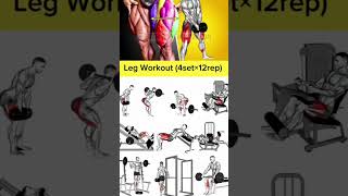 Day4860 Most Effective Leg Workoutfitness gym explorebodybuildinghome homework2024100kfoll [upl. by Duwad128]