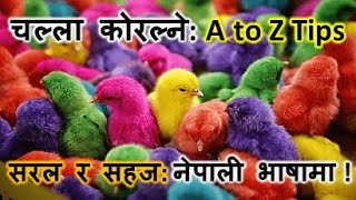 चल्ला कोरल्न यति जाने पुग्छ  abiramagrotech 977 9849760686 [upl. by Loy494]