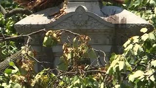 Cemetery storm damage [upl. by Annad]