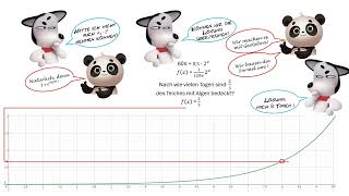 Exponentialfunktionen Algen und Herdplatte [upl. by Nanine]