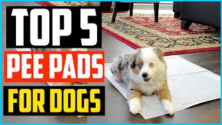 ✅Top 5 Best Pee Pads For Dogs Review In 2024 [upl. by Jallier195]