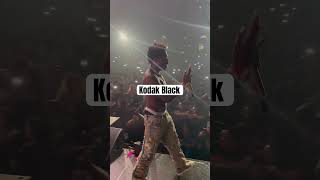 Kodak Black Live Concert [upl. by Halford]