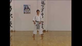 Gojushiho Dai  Efthimios Karamitsos  Karate  Kata  Shotokan [upl. by Reppiks796]