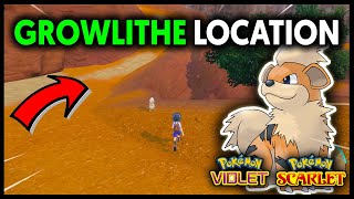 WHERE TO FIND GROWLITHE ON POKEMON SCARLET AND VIOLET [upl. by Aciret]