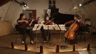 WAMozart  Piano Quartet No1 in G minor Allegro [upl. by Llorrad]