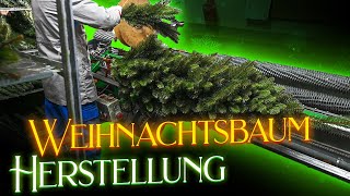 Künstlicher Weihnachtsbaum Herstellung Produktion der Pure Living Nordmanntanne [upl. by Celestina]