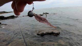 PESCARIA COM MICRO CAMARÃO JIG HEAD NA BEIRADA DA PRAIA NO MEIO DAS PEDRAS MUITO PRODUTIVA [upl. by Healion513]