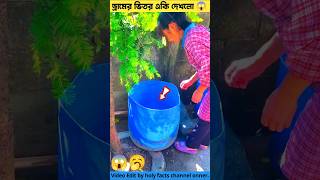 ড্রামের ভিতর একি দেখলো🥱Amazing facts amp tortoise tools item youtubeshorts shorts shortvideo [upl. by Anada]