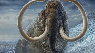 Woolly Mammoths will return from Extinction Sightings and Science [upl. by Eliathan]