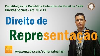 CF88  Arts 10 e 11 Constituição da República [upl. by Gannon]