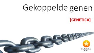 Gekoppelde genen  GENETICA [upl. by Skinner]