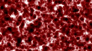 Cells under microscope loop  Copyright Free Stock Footage Clip [upl. by Nortna]