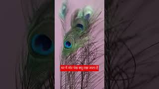 Ghar main mor pankh rakhne se kya hota hai janiye 🦚🦚🦚🦚🦚 Radhe Radhe 🙏 please like and subscribe 🙏🙏🙏🙏 [upl. by Ahsilak]