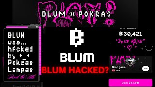 Blum Mining Bot Hacked What You Need to Know [upl. by Ateerys585]