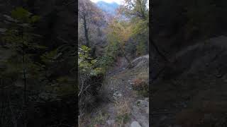 Doğa yürüyüşümüz 27 10 2024 doga yaşam nature turkey youtubeshorts aboneolun [upl. by Geesey]